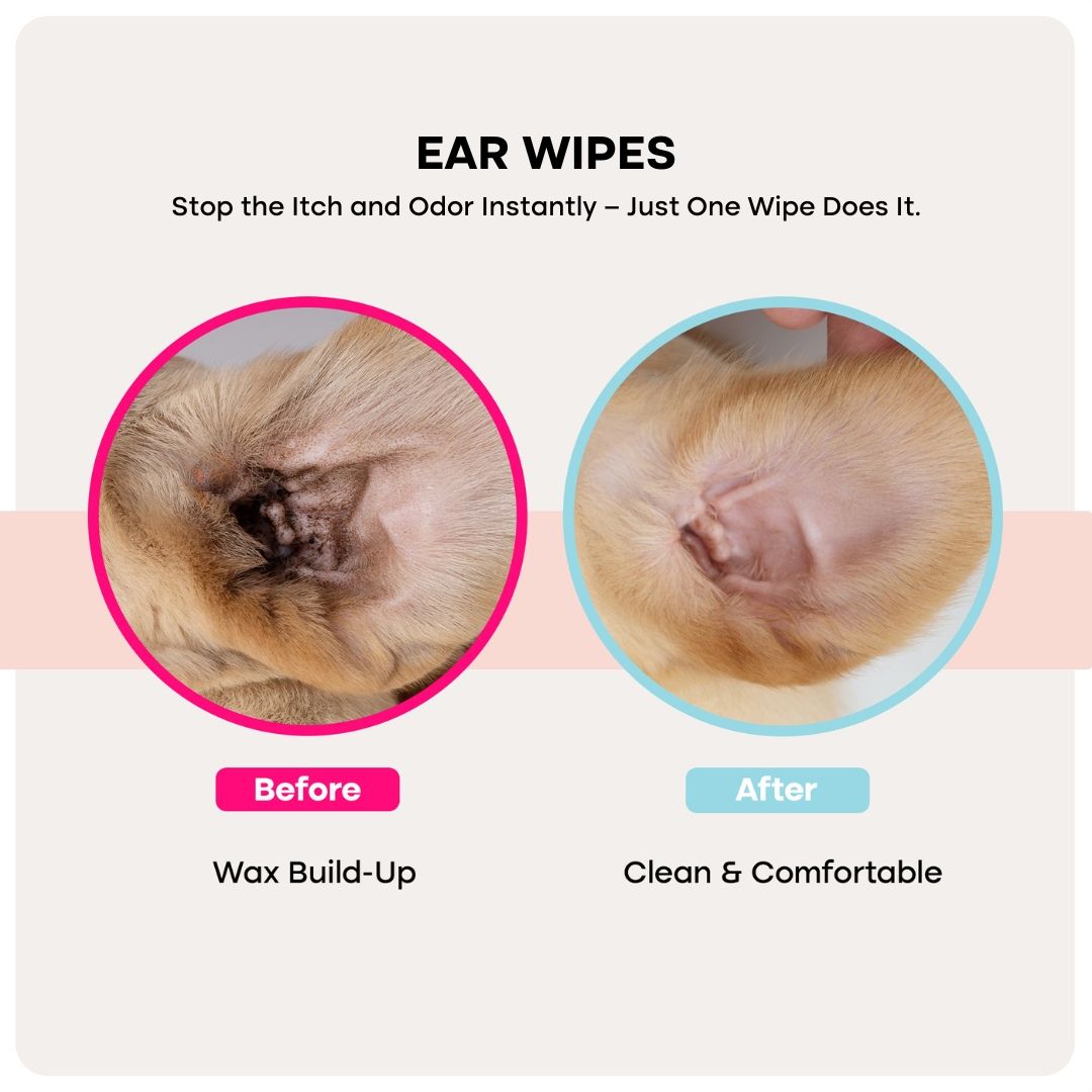 Uprost PureCare™ Kit