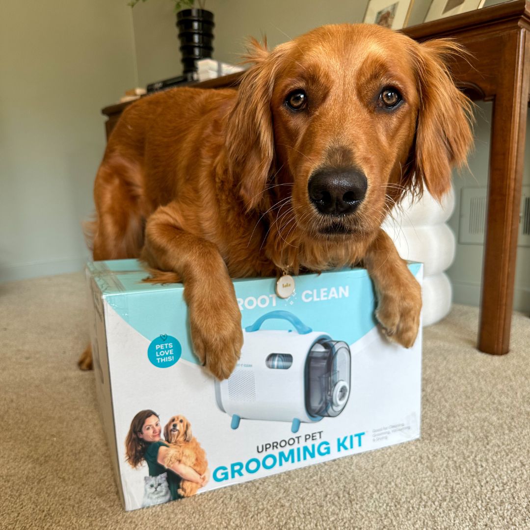 Uprost SilentGroom Pet Grooming Kit