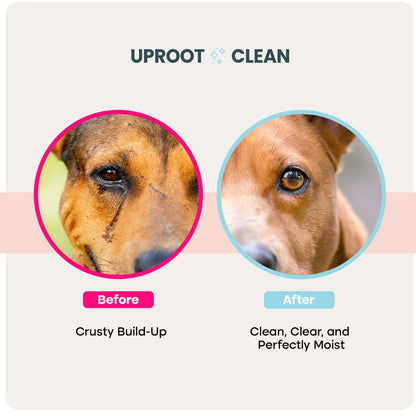 Uprost Eye Wipe Pads