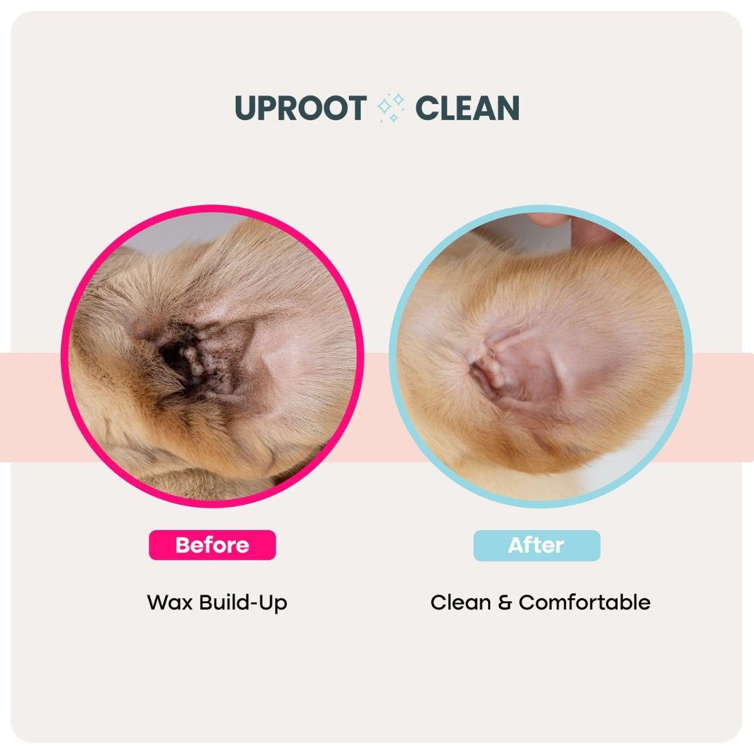 Uprost™ Ear Wipes