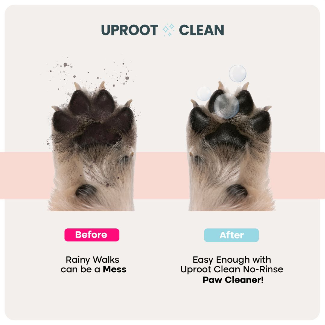 Uprost Paw Cleaner - Rinse-Free Foam Cleanser (150 Uses)