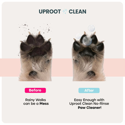 Uprost Paw Cleaner - Rinse-Free Foam Cleanser (150 Uses)
