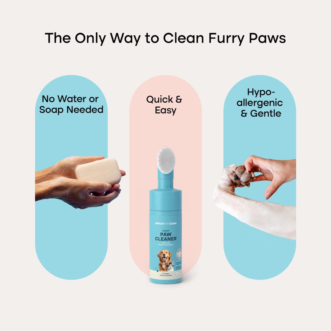 Uprost Paw Cleaner - Rinse-Free Foam Cleanser (150 Uses)