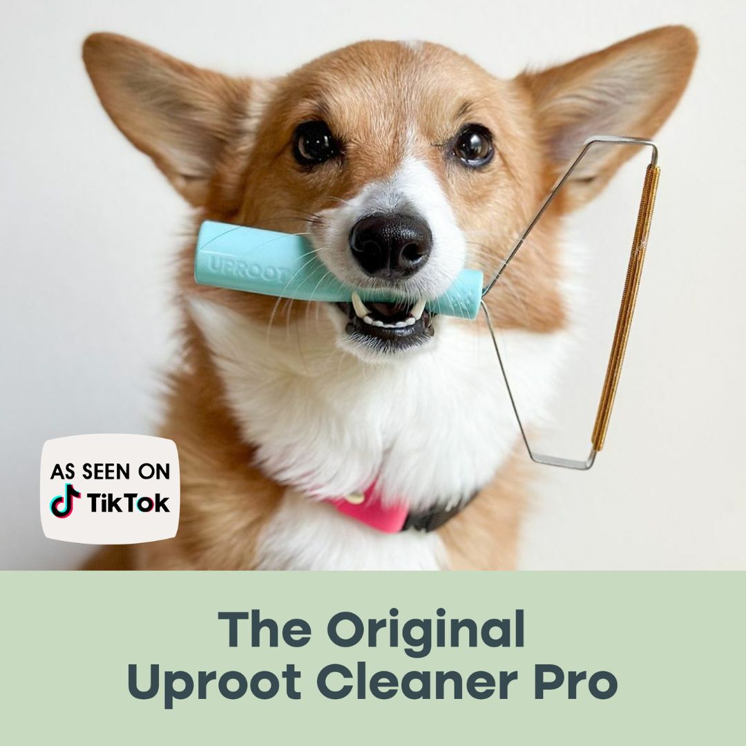 Uprost Cleaner Pro™ - Original