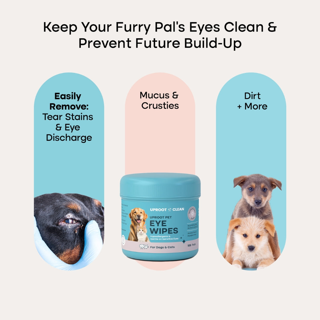 Uprost Eye Wipe Pads