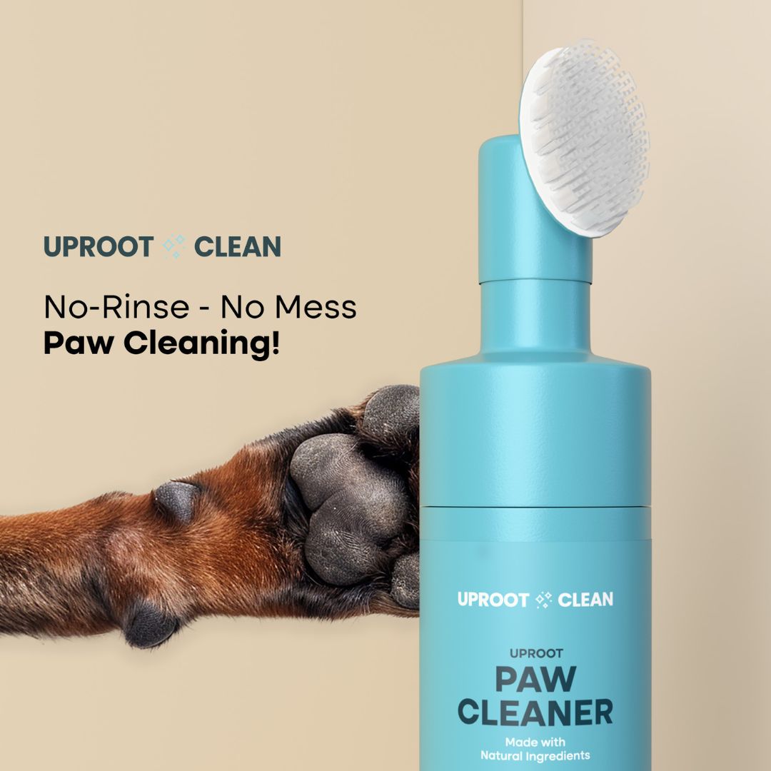 Uprost Paw Cleaner - Rinse-Free Foam Cleanser (150 Uses)