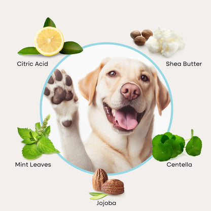 Uprost Paw Cleaner - Rinse-Free Foam Cleanser (150 Uses)