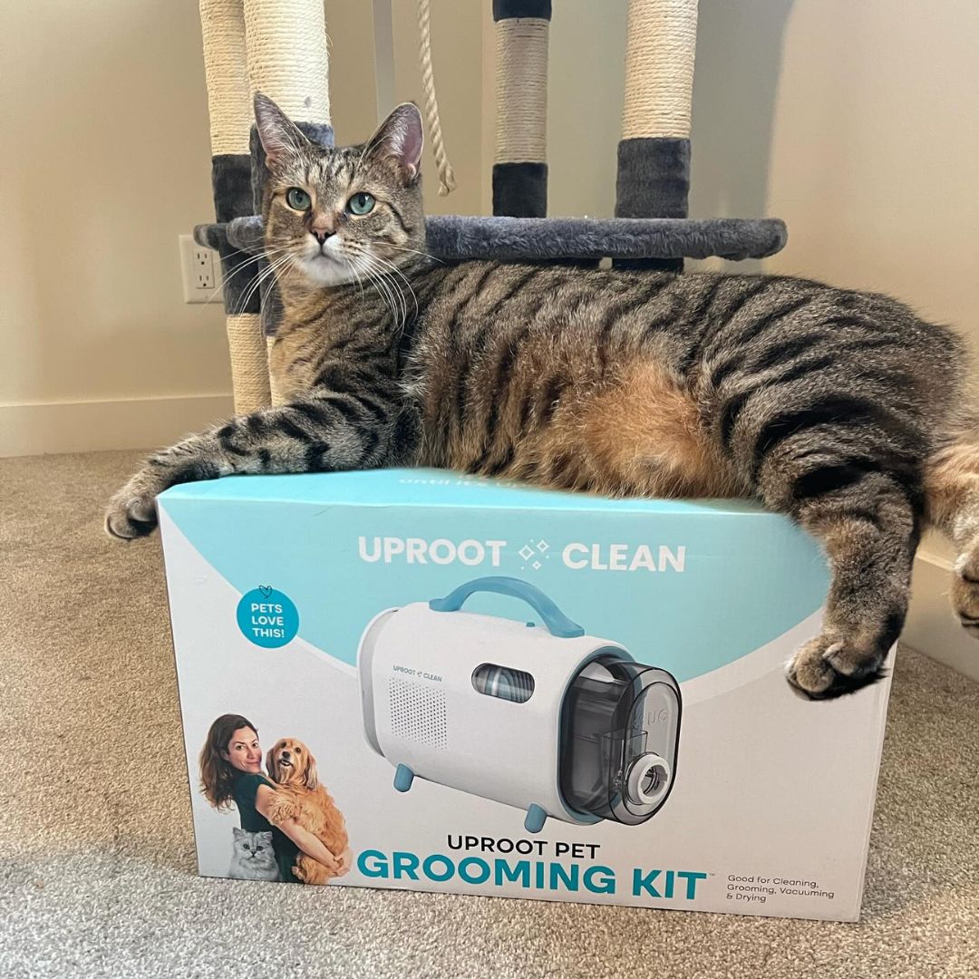 Uprost SilentGroom Pet Grooming Kit